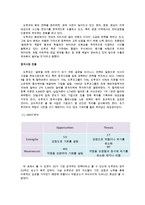 도루코 기업소개 및 마케팅전략 제안[국내 토종 면도기 브랜드]-15