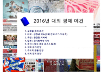 2016년 해외국내 경제 현황과 리스크-3