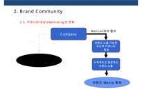 브랜드 커뮤니티를 활용한 브랜드 전략[Brand community Brand Marketing]-13