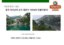 칭다오맥주 마케팅전략[TSINGTAO beer Marketing Strategy]-12