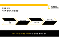 내셔날지오그래픽사의 다각화전략[National Geographic`s diversification strategy]-14
