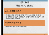 내분비계약물, 갑상선기능저하증, 항이뇨호르몬, 항당뇨병약, 에스트로겐, 골다공증, 갑상선기능항진증, 부갑상선기능저하증, 부신피질자극호르몬-5
