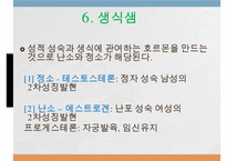 내분비계약물, 뇌하수체전엽호르몬, 성장호르몬, 갑상선자극호르몬, 부갑상선호르몬, 부신피질호르몬, 당뇨병약, 성호르몬약, 골다공증약-8