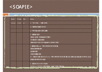 복막염, penperitonitis, 복막염 케이스스터디, case study, 간호과정, 복막염 수술 후 관리, SOAPIE,-11