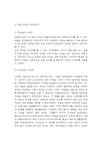 Daum 다음 기업분석과 SWOT분석및 다음 마케팅전략과 경영전략 사례분석과 다음 향후전략제안 및 시사점연구-8
