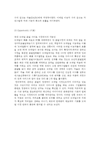 Daum 다음 기업분석과 SWOT분석및 다음 마케팅전략과 경영전략 사례분석과 다음 향후전략제안 및 시사점연구-9