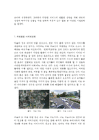 Daum 다음 기업분석과 SWOT분석및 다음 마케팅전략과 경영전략 사례분석과 다음 향후전략제안 및 시사점연구-14