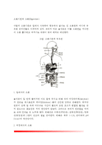 [소화기관] 소화기관과 소화 - 입, 위장, 소장, 대장에서의 소화-2
