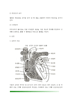 순환계의 구조와 기능(혈액의 조성 및 작용, 심장의 구조와 기능, 혈액순환과 혈압, 림프계와 비장)-4