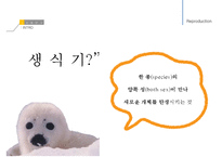 남성생식, 남성생식기, 남성생식기구조, 정자형성과정, 성기능, 테스토스테론, Testosterone-3