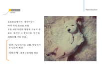 남성생식, 남성생식기, 남성생식기구조, 정자형성과정, 성기능, 테스토스테론, Testosterone-5