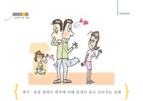 남성생식, 남성생식기, 남성생식기구조, 정자형성과정, 성기능, 테스토스테론, Testosterone-11