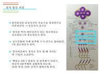 남성생식기, 남성생식, Male Reproduction, 남성생식기구조, 정자형성과정, 남성의성기능, 테스토스테론,-12