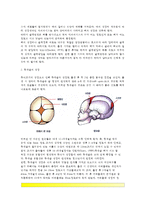 [영아기 신체발달] 영아기와 걸음마기의 신체적 성장 및 발달(영아기 신체변화, 영아기 신체성장)-6