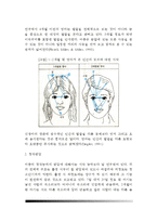 [영아기 인지발달] 영아의 지각발달, 피아제의 인지발달단계, 대상영속성, 영아검사-4