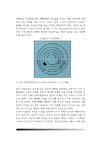 [영아기 인지발달] 영아의 지각발달, 피아제의 인지발달단계, 대상영속성, 영아검사-7