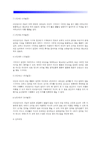 [영아기 인지발달] 인지발달이론(감각운동기, 대상개념의 발달), 영아기의 인지과정, 영아기 인지발달특성, 인지발달이론의 영아기 특징-5