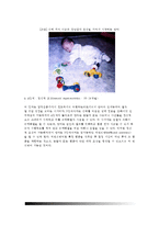 [영아기인지발달] 피아제의 인지발달단계 - 감각운동기-4