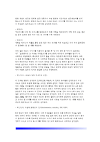 [유아기 도덕성발달] 도덕성발달이론(정신분석이론, 학습이론, 인지발달이론) - 피아제와 콜버그의 도덕성발달이론-4