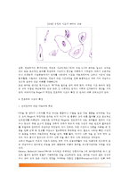 [유아기 사고능력발달] 유아의 사고능력의 발달(전조작적 사고기, 전조작적 사고의 특징, 마음이론, 정보처리능력,유아 인지발달을 위한 지도)-3