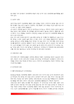 [유아기 사회적 발달] 유아의 성역할 발달(유아의 사회적 발달, 유아기 성역할발달이론, 유아기 사회성발달)-6
