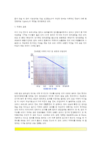 [유아기 언어발달] 유아의 언어능력발달-4