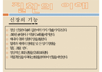 신장질환, 신장기능, 급성신부전증, 만성신부전증, 만성신부전사례, 신부전문제, 신장질환환자와 사회복지사, 신부전간호-3