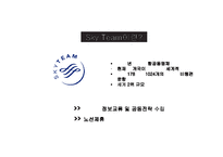 [대한항공 마케팅사례 PPT] 대한항공 기업분석과 전략분석및 대한항공 마케팅믹스 전략분석및 대한항공 미래방안제안-10
