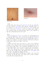 (방통대 2016-2) 존슨의 7개 행동체계를 적용한 대상자 기술 및 간호계획 작성-10