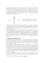 [언어의이해 D형] 소쉬르 언어연구에 대해 간략히 요약하시오-4