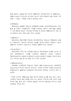 코오롱스포츠 마케팅케이스 연구 -(코오롱스포츠 브랜드분석과 경영분석,마케팅 SWOT, STP, 4P전략분석/ 코오롱스포츠 향후전략제안)-5