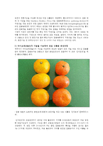 재배식물육종학3공통) 바이오테크놀로지 기술을 이용하여 육성된 신품종을 선정하여 육성과정을 설명하고 유전자 변형 신품종의 의의에 대해 설명하시오0k-2