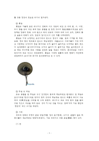 [한국복식문화 공통자료]상대시대와 통일신라,  조선시대에 쓰인 남자의 두식과 관모에 대하여 설명하시오-5