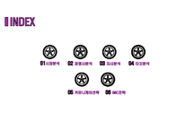 넥센 타이어 신제품 런칭 커뮤니케이션 전략서[Nexen New Communication Strategy Launched]-2