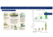 바이오경제 개념과 글로벌 현황[Bio-economy concept and global status]-13