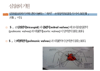 아동의신체사정, 귀신체사정, 코신체사정, 입신체사정, 인후신체사정, 가슴신체사정, 폐신체사정, 심장신체사정, 정상심잡음-15