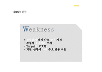 CESCO 세스코 기업분석과 성공요인분석및 세스코 마케팅 SWOT,STP,4P전략분석및 세스코 향후전략방안제안 PPT-15