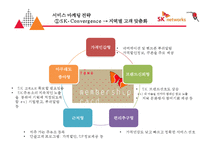 SK 네트웍스 주유소마케팅 전략[SK Networks service stations marketing strategy]-16