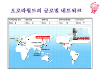 [경영 사례 분석] 독자브랜드로 세계인을 사로잡은 국내 캐릭터 인형 회사 오로라 월드의 경영성공 분석-4