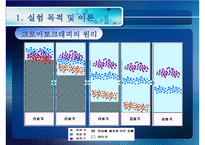 [화공실습] 박막크로마토그래피의 특징, 성질 등등 분석 실험 보고서(2012년 추천 우수 레포트 선정★★★★★)-6