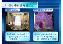 [화공실습] 박막크로마토그래피의 특징, 성질 등등 분석 실험 보고서(2012년 추천 우수 레포트 선정★★★★★)-12