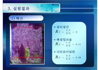 [화공실습] 박막크로마토그래피의 특징, 성질 등등 분석 실험 보고서(2012년 추천 우수 레포트 선정★★★★★)-15