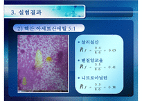 [화공실습] 박막크로마토그래피의 특징, 성질 등등 분석 실험 보고서(2012년 추천 우수 레포트 선정★★★★★)-16