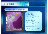 [화공실습] 박막크로마토그래피의 특징, 성질 등등 분석 실험 보고서(2012년 추천 우수 레포트 선정★★★★★)-17