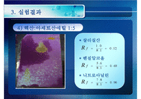 [화공실습] 박막크로마토그래피의 특징, 성질 등등 분석 실험 보고서(2012년 추천 우수 레포트 선정★★★★★)-18