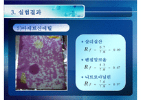 [화공실습] 박막크로마토그래피의 특징, 성질 등등 분석 실험 보고서(2012년 추천 우수 레포트 선정★★★★★)-19