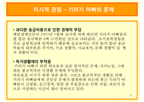 기러기 아빠, 기러기 가족의 현황과 조기유학의 허와 실 및 개선방안-8