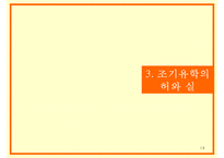 기러기 아빠, 기러기 가족의 현황과 조기유학의 허와 실 및 개선방안-14