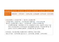 도시복지 행정시스템의 특징, 문제점, 서울 도시빈민복지사례, 개선방안-18