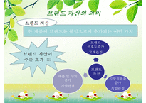 브랜드자산관리(상표관리, 브랜드관리)의 정의, 의의, 브랜드자산관리(상표관리, 브랜드관리)의 과정, 항목, 브랜드자산관리(상표관리, 브랜드관리)의 유의사항, 사례, 브랜드자산관리(상표관리, 브랜드관리) 전략-3